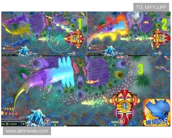 PA捕鱼乐园新手攻略指南，助你快速掌握捕鱼技巧