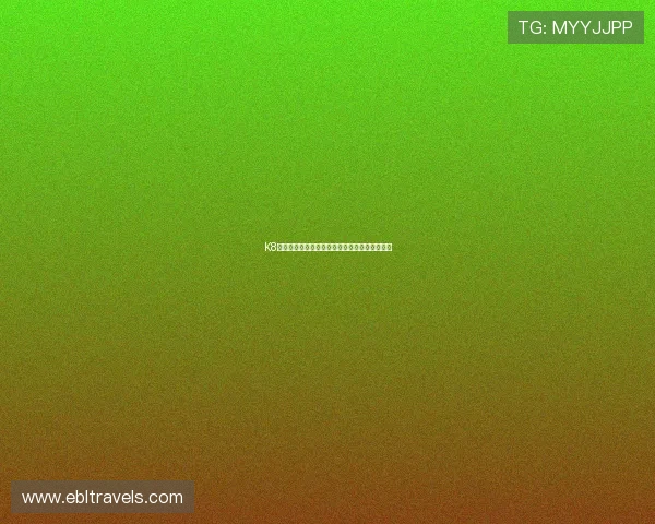 K8真人棋牌平台最新优惠活动与注册福利详细介绍