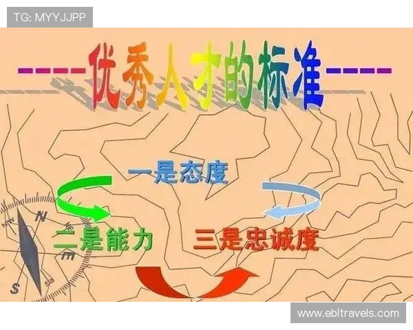 DB真人旗舰集团的合作伙伴与品牌背书提升平台的可信度与专业性