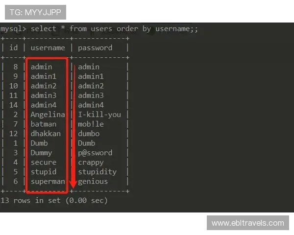 2024年OG视讯网站在线看攻略,详细步骤帮助新手快速上手体验