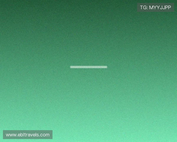 提升百家乐游戏技巧的实用指南详细介绍规则与策略应用