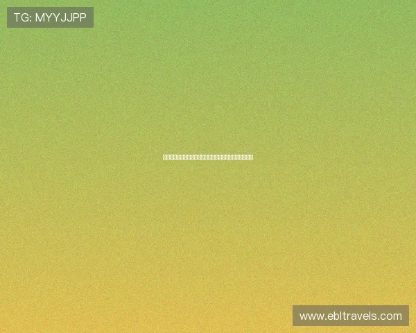 加入龙宝百家乐,体验多样化的游戏内容和优质的客户服务