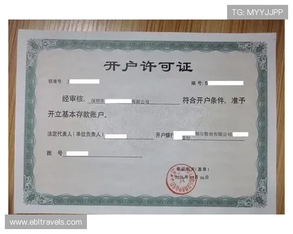 视讯真人哪里开户的最全指南，帮助新手快速了解开户流程与安全保障
