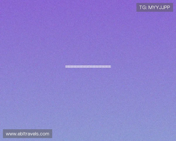 捷克对南非世界杯赛程安排及比赛结果预测，关注比赛动态与战术分析