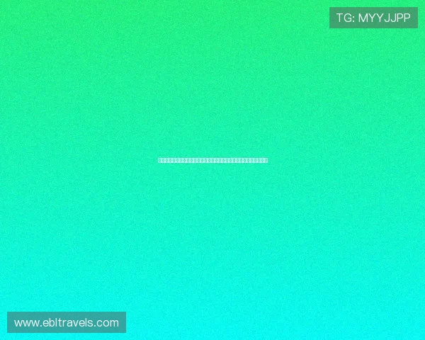 世界杯葡萄牙对乌兹别克斯坦比赛阵容分析：战术布局与关键球员表现