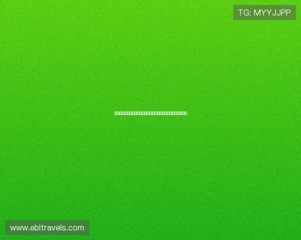 约旦与奥地利队训练动态深度分析为世界杯赛场表现提供战略指导