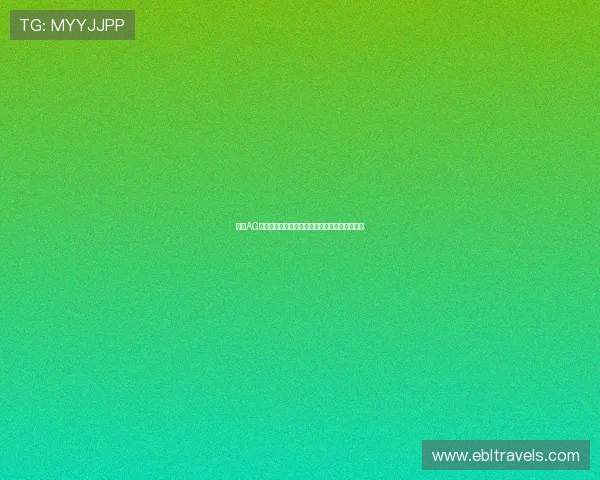 掌握AG百家乐技巧实现稳定盈利的实战经验与技巧分享