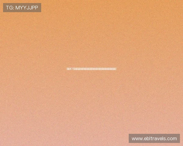 开云KY真人版全站登录优化世界杯报道页面提升用户体验与互动参与感